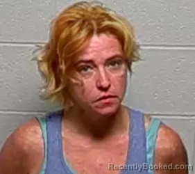 Mugshot of BRANDY L OZUNA