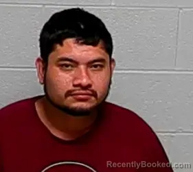 Mugshot of LUIS A FLORES-BARBERRENA