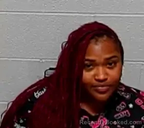 Booking photo from Lake County, Illinois