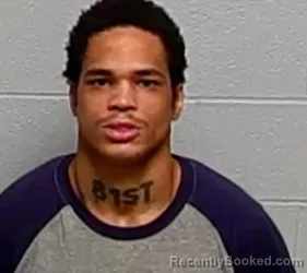 Booking photo from Lake County, Illinois