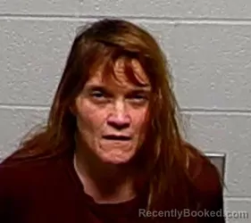 Mugshot of SHERRI L HANSEN