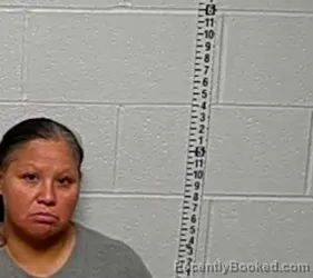 Mugshot of DIANA DEL ANGEL