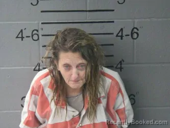 Mugshot of GINA MARIE VANDERVORT