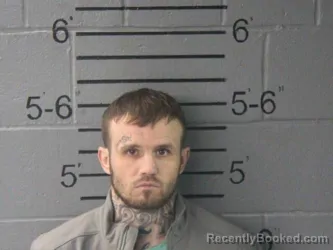 Mugshot of WADE BRYON WOOLARD