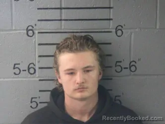 Mugshot of ALEX LEVI STEPHENS