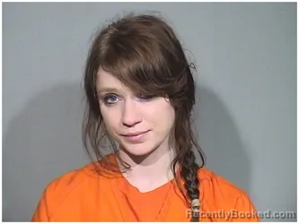 Booking photo from McHenry County, Illinois