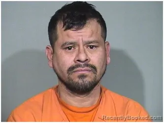 Mugshot of RAMIRO MUJICA-SANDRIA
