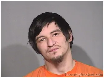 Booking photo from McHenry County, Illinois