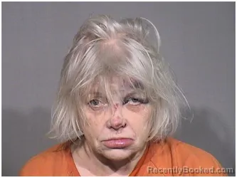 Mugshot of JILL D LUCHTENBURG