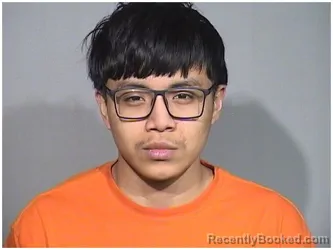 Mugshot of CRUZ CALIXTO
