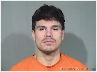 Mugshot of LEONEL CASAS