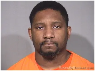 Mugshot of TAFADZWA NDLOVU