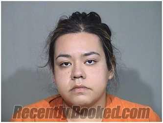 Booking photo from McHenry County, Illinois