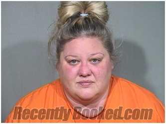 Booking photo from McHenry County, Illinois