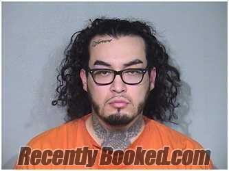 Booking photo from McHenry County, Illinois