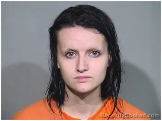 Booking photo from McHenry County, Illinois