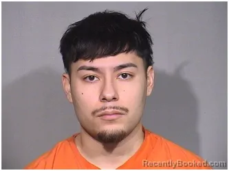 Booking photo from McHenry County, Illinois