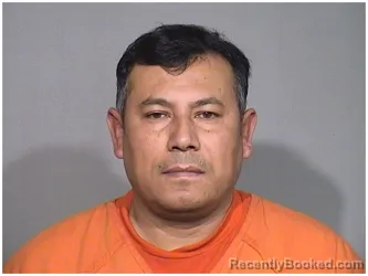 Mugshot of HORLANDO MEDINA-BESIHE