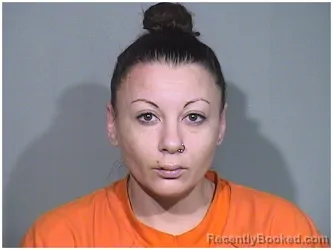 Booking photo from McHenry County, Illinois