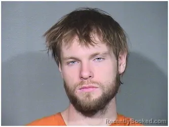 Booking photo from McHenry County, Illinois