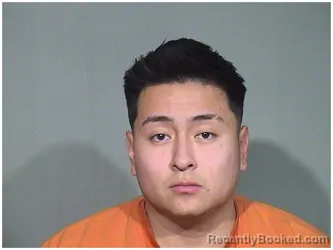 Mugshot of MIGUEL PALOMINO