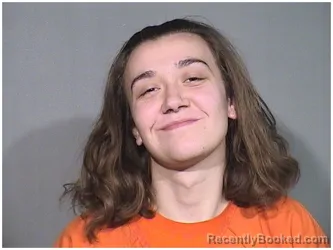 Mugshot of DESTINY HANSEN