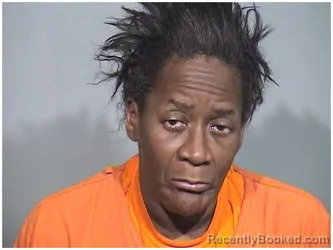 Booking photo from McHenry County, Illinois