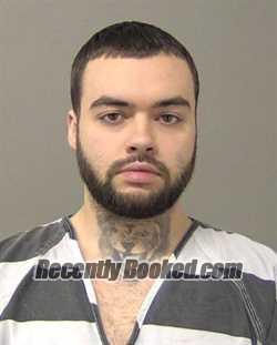 Booking photo from Macon County, Illinois