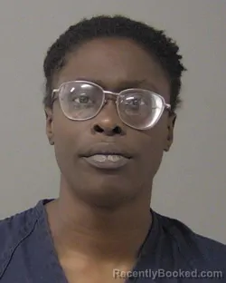 Booking photo from Macon County, Illinois