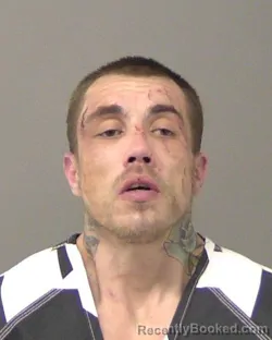 Mugshot of MARC JAMES TRAMMEL