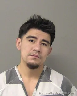 Mugshot of GERARDO TREJO HERNANDEZ