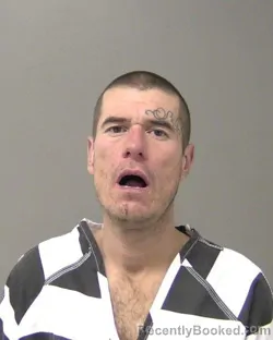 Mugshot of LEO DANIEL SELF