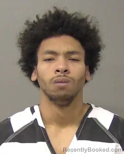 Booking photo from Macon County, Illinois