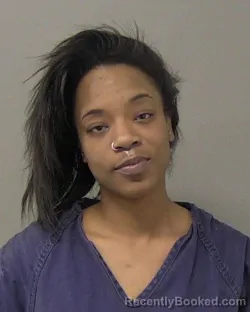 Booking photo from Macon County, Illinois