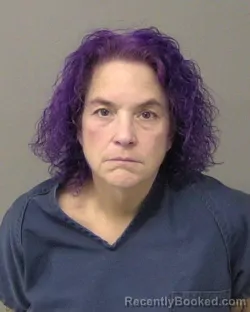 Mugshot of BETH ANN ROY