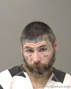 Booking photo from Macon County, Illinois