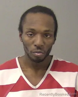 Mugshot of KARLEE QUINTON COLLINS