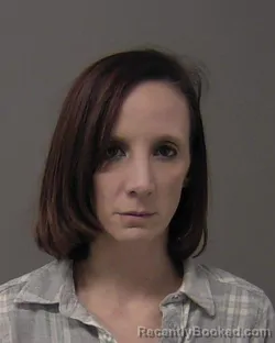 Booking photo from Macon County, Illinois