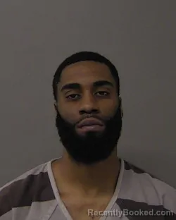 Booking photo from Macon County, Illinois