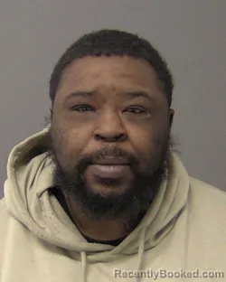 Booking photo from Macon County, Illinois