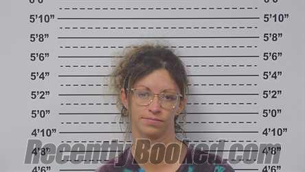 Booking photo from Macoupin County, Illinois