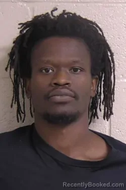 Booking photo from Madison County, Illinois