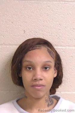Mugshot of SHANIA COOK