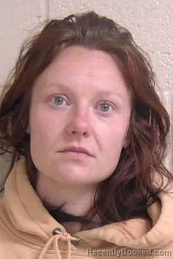 Booking photo from Madison County, Illinois