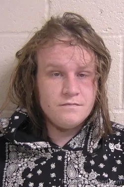 Booking photo from Madison County, Illinois