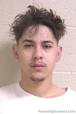 Booking photo from Madison County, Illinois