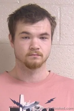 Booking photo from Madison County, Illinois