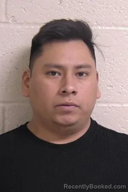 Mugshot of RODRIGO SENOVIO