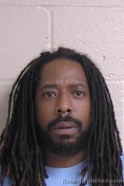 Booking photo from Madison County, Illinois