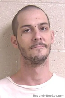 Booking photo from Madison County, Illinois